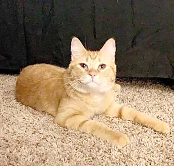 Photo of Teddy