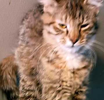 Photo of Matilda