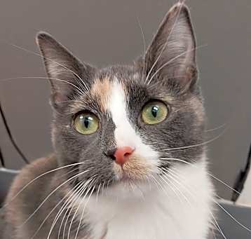Photo of Bug