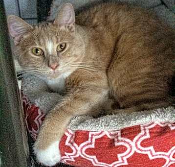 Photo of Percy