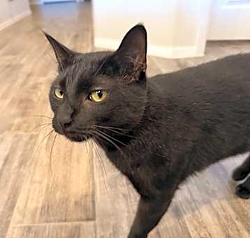 Photo of Raisin