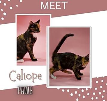 Photo of Caliope