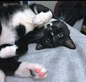Photo of Jubilee