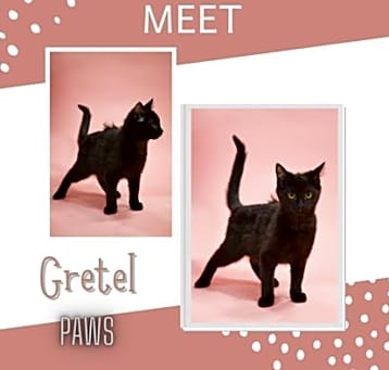 Photo of Gretel