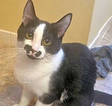 Photo of Wednesday