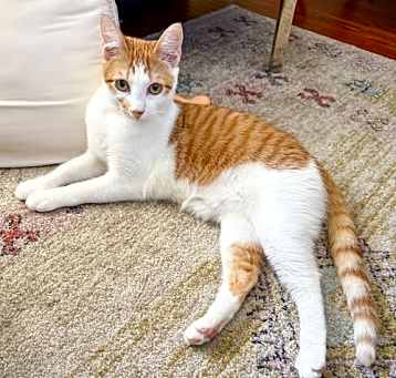 Photo of Delilah