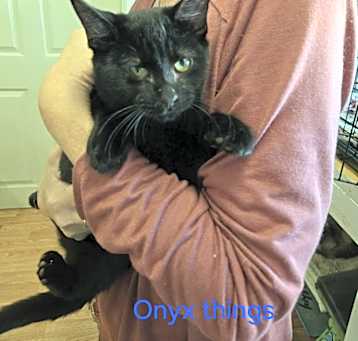 Photo of Onyx