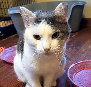 Photo of Mr Jingles