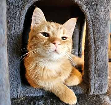 Photo of Norbert