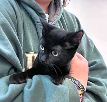 Photo of Cinder (Magic)