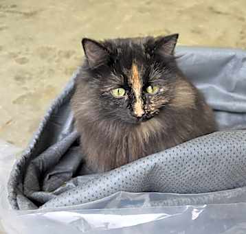 Photo of Lucky