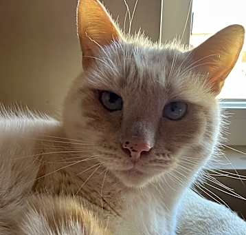 Photo of Oliver