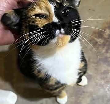 Photo of Precious