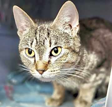 Photo of Tabitha