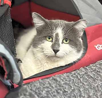 Photo of Dottie
