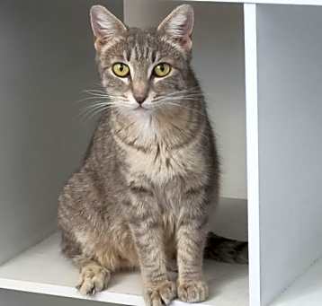 Photo of Olivia
