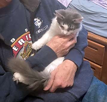 Photo of Hairball bonded with Boyd