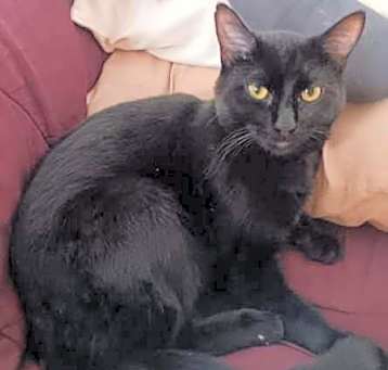 Photo of Lefty