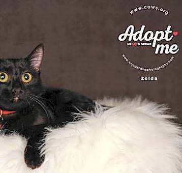Photo of Griselda