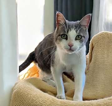 Photo of Astrid