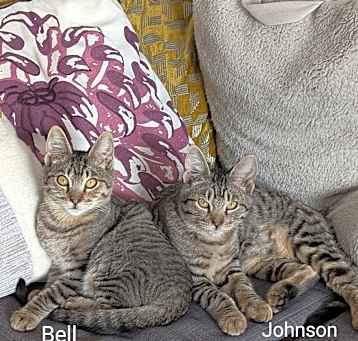 Photo of Bell and Johnson
