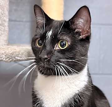 Photo of Charlie
