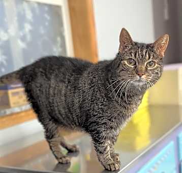 Photo of Lilly