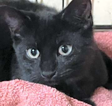 Photo of Bobbi