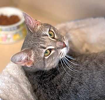 Photo of Helen