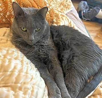 Photo of Bendito