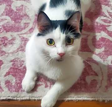 Photo of Lealah