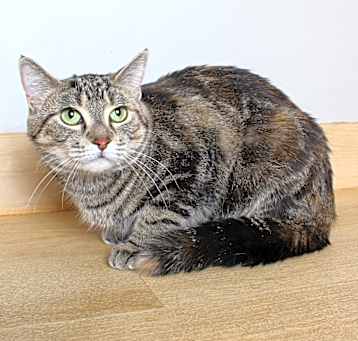 Photo of Nayla C63873