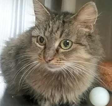 Photo of PRINCESS