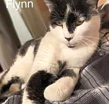 Photo of Flynn