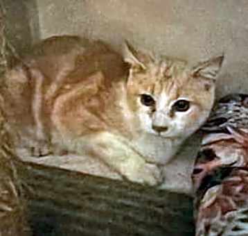 Photo of Don Julio