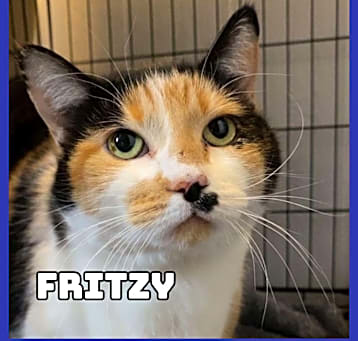Photo of Fritzy