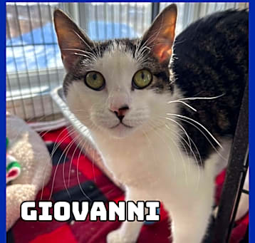 Photo of Giovanni