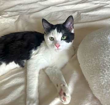 Photo of Minnie