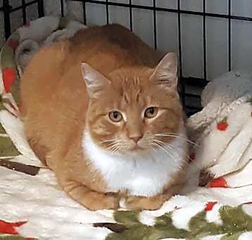Photo of Peaches R.