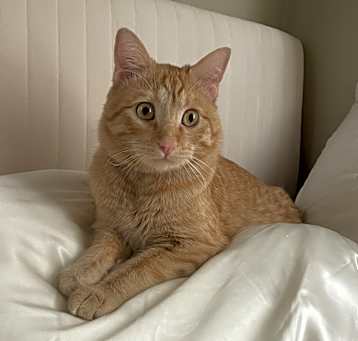 Photo of Chili