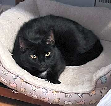 Photo of Coco