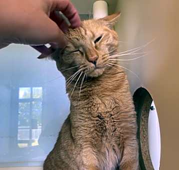 Photo of Wink