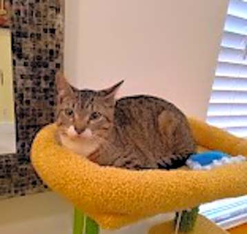 Photo of Snickers