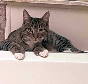 Photo of Rocky