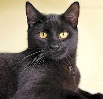 Photo of Freya