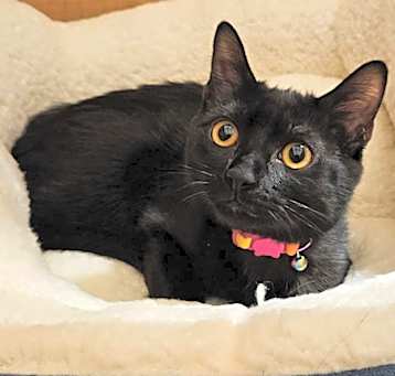 Photo of AGATHA BEATRICE