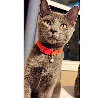 Photo of FINN