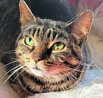 Photo of Betty