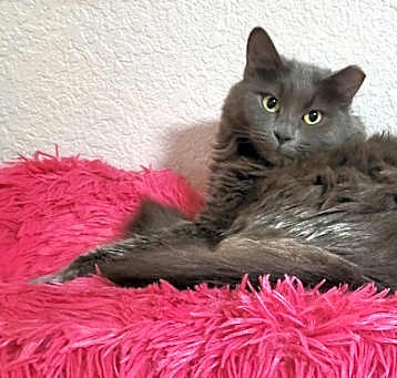 Photo of Clara