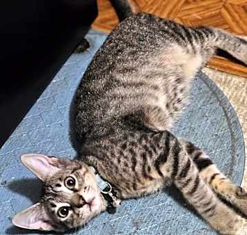 Photo of Fred